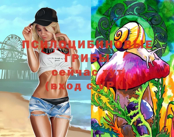 мдпв Арсеньев