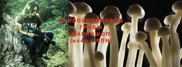 ECSTASY Алзамай